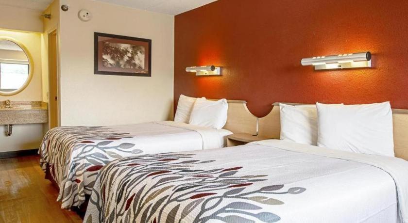 Red Roof Inn Jacksonville - Orange Park Esterno foto